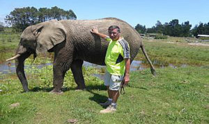 Elefantenpark Südafrika
