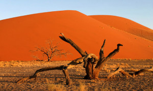 Sossusvlei Wueste Namibia