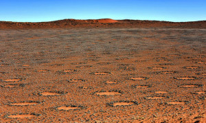 Die Feenkreise in der Namib Wüste.