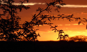 Waterberg Sonnenuntergang Namibia