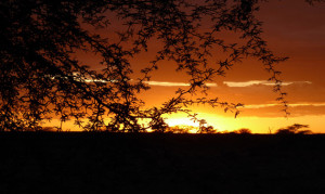 Waterberg Sonnenuntergang. Namibia