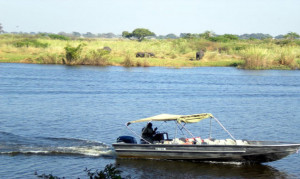 Bootsfahrt auf dem Chobe